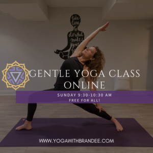 Online yoga class with Brandee